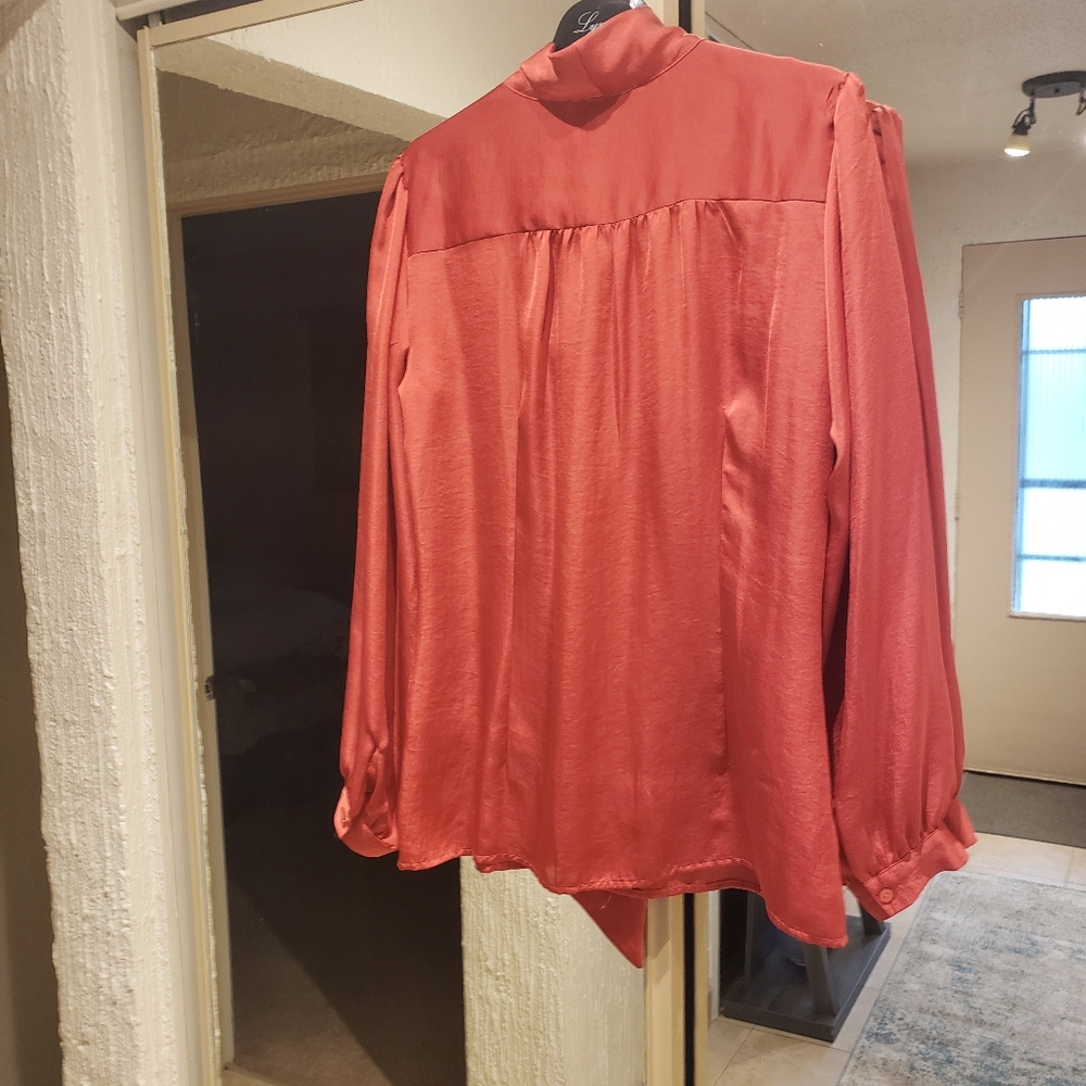 Rust colored blouse - Picture 4 of 4